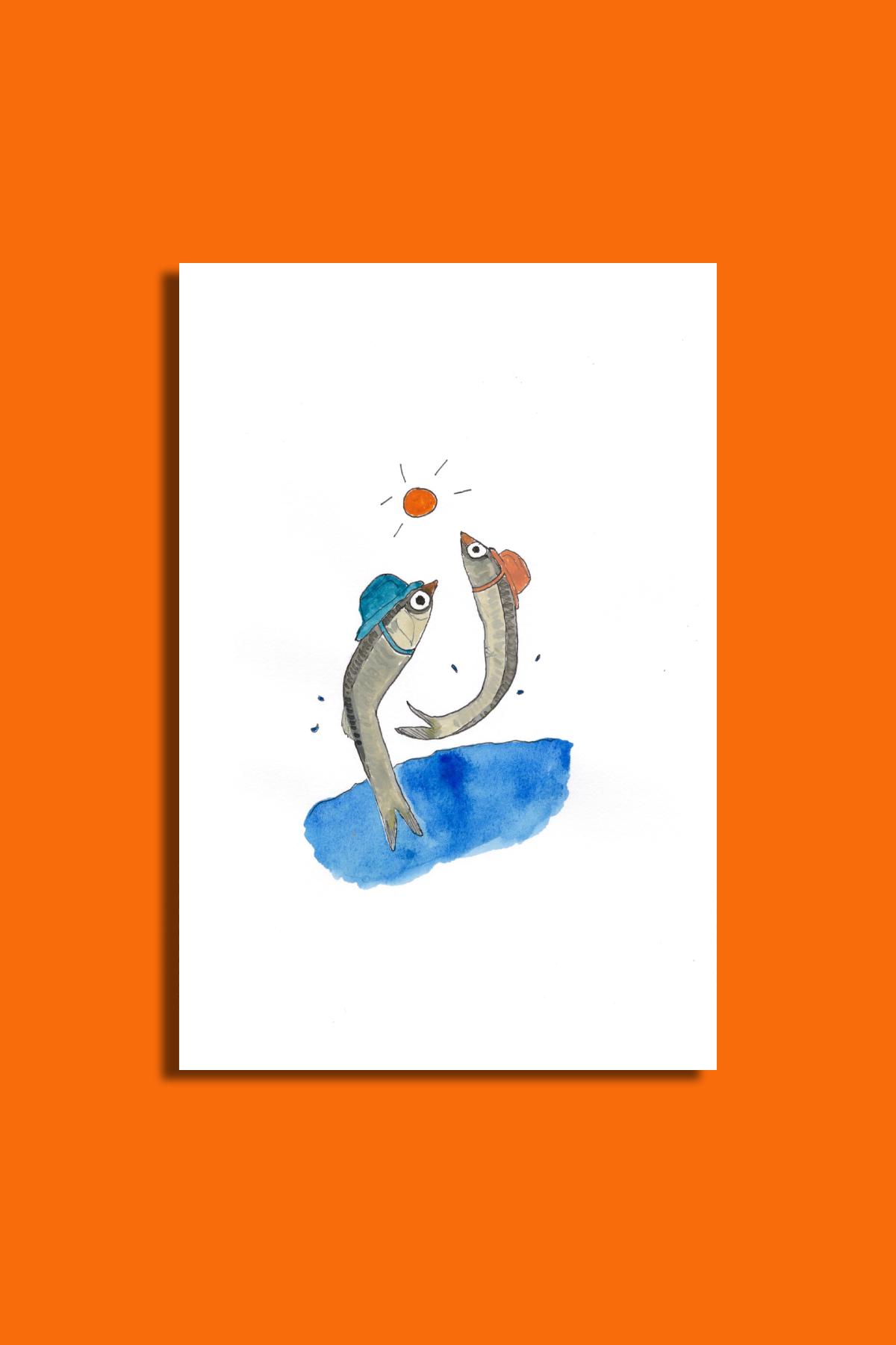 Anchovy Summer
